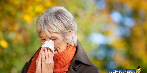 How to Fight Winter Allergies